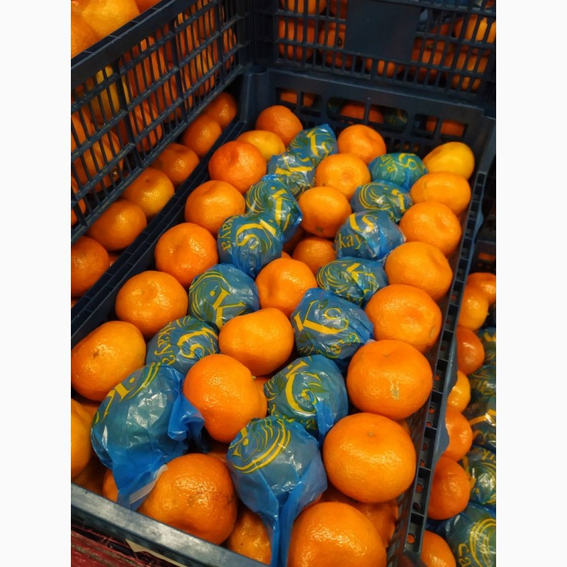 Фото 2. Продам мандарины с 20 тонн от поставщика с Кыргызтана