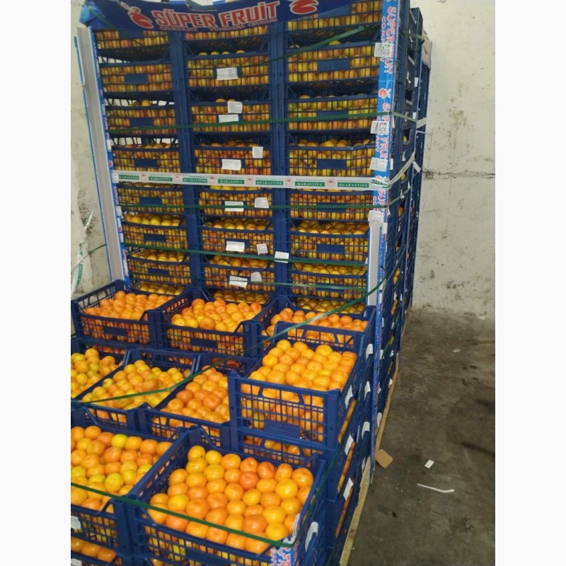Фото 5. Продам мандарины с 20 тонн от поставщика с Кыргызтана