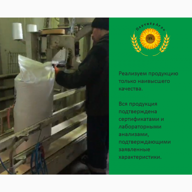 Фото 6. Продажа Соевого Шрота от производителя (протеин на АСВ не менее 48%)