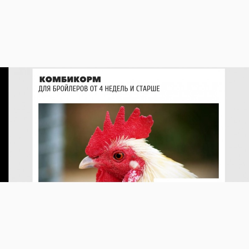Фото 2. Комбикорм для лошади, коровы, бычков, баранов, кур, бройлер, кролики, рыбы (Казахстан)