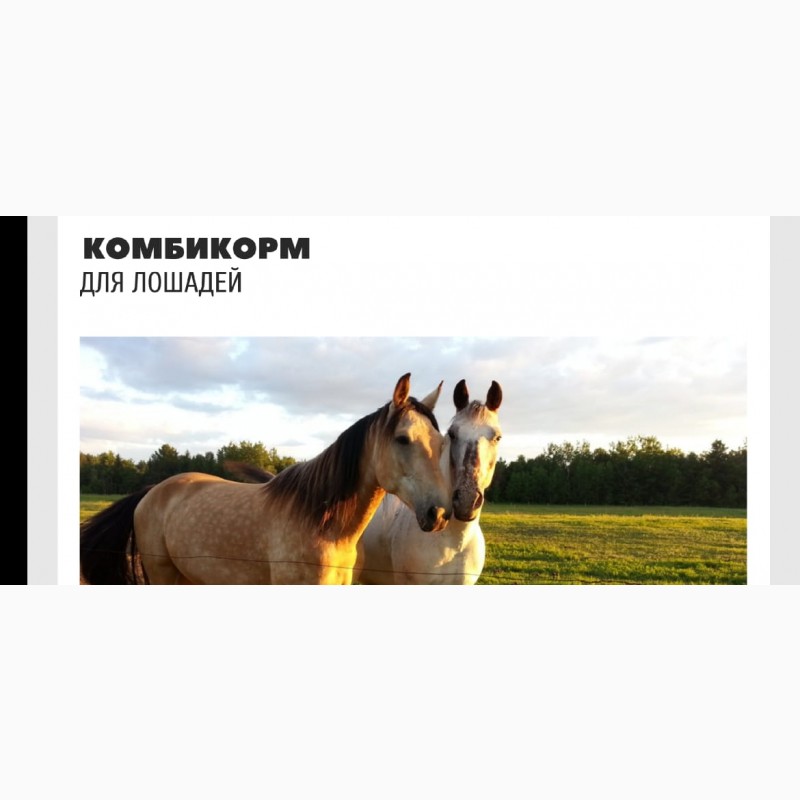 Фото 4. Комбикорм для лошади, коровы, бычков, баранов, кур, бройлер, кролики, рыбы (Казахстан)
