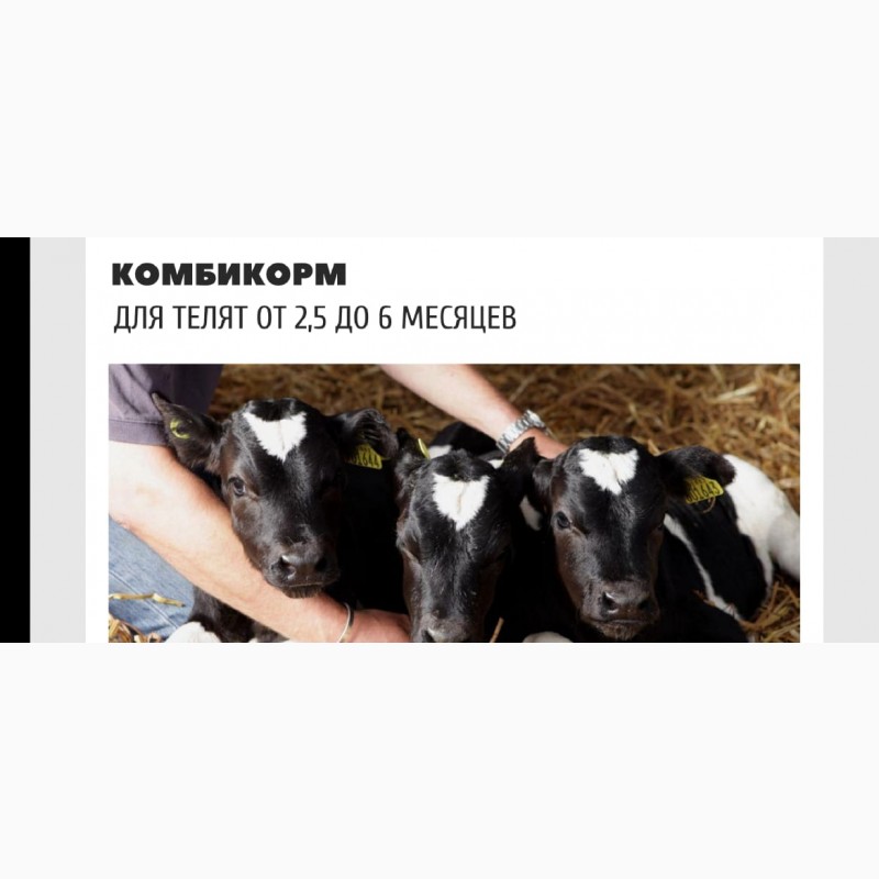 Фото 8. Комбикорм для лошади, коровы, бычков, баранов, кур, бройлер, кролики, рыбы (Казахстан)