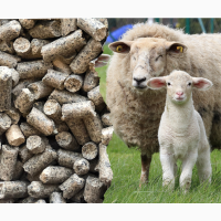 Комбикорм для Мелкого рогатого скота (овец, баранов)
