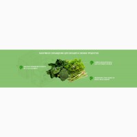 Паллетный вакуумный охладитель WORKER Coolin для салатов, зелени, грибов и срезов цветов