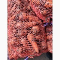 Продам морковь от производителя с 20 тонн